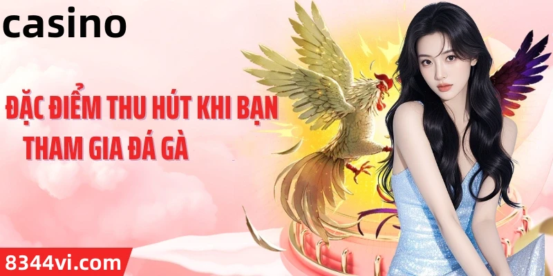 Hình ảnh quảng cáo của bubet hiển thị nền tảng và các lợi ích
